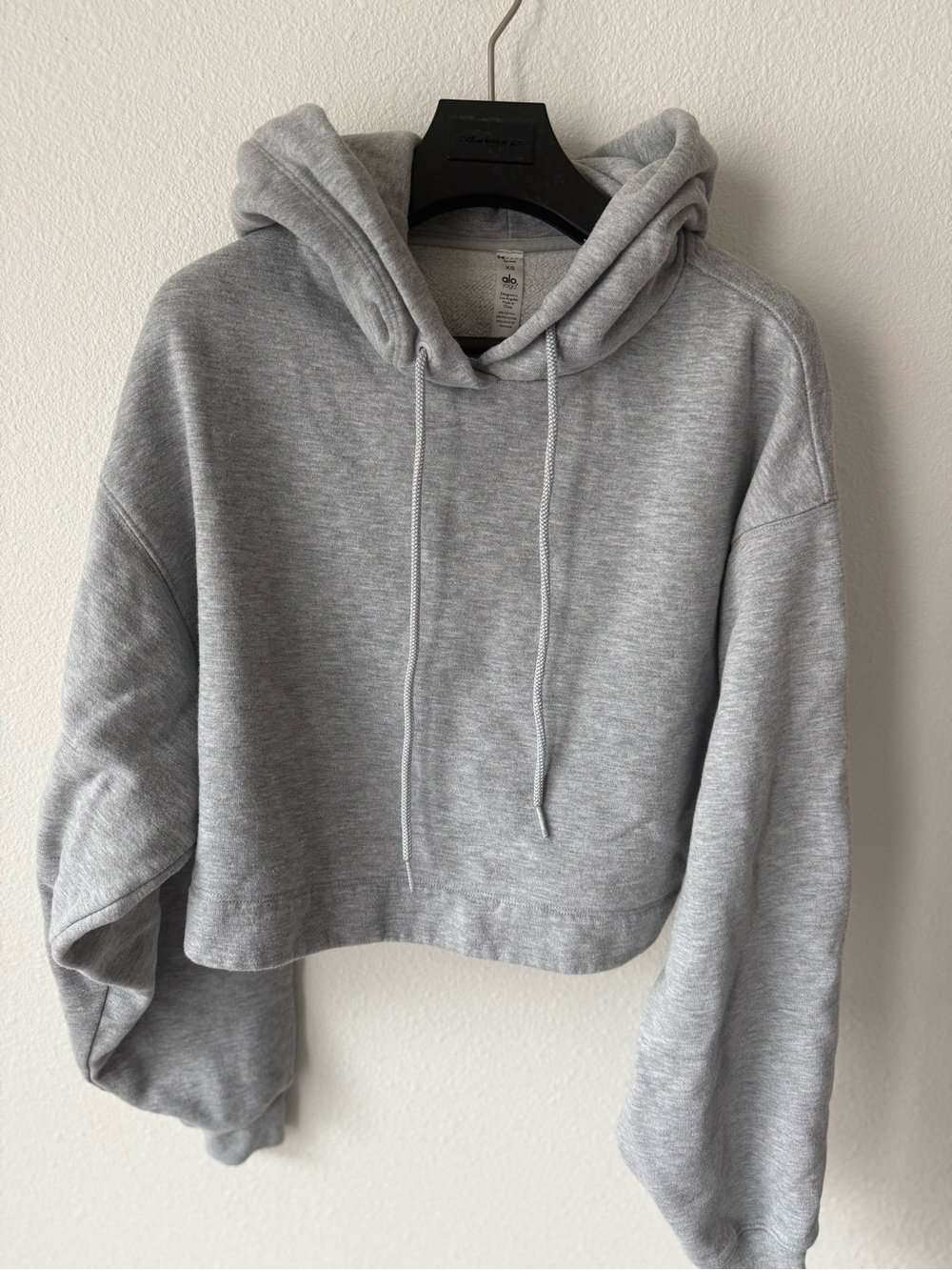 ALO Yoga Cropped Hoodie in Light Gray